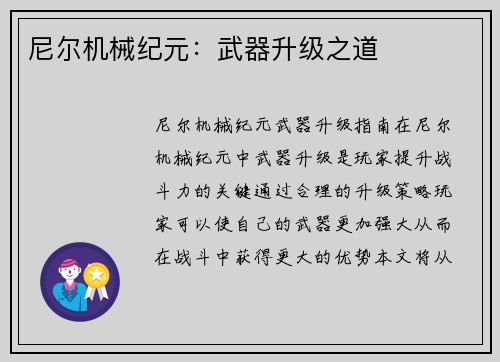 尼尔机械纪元：武器升级之道